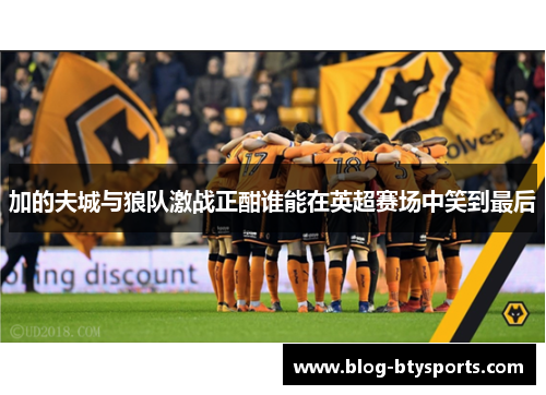 加的夫城与狼队激战正酣谁能在英超赛场中笑到最后 加的夫城与狼队激战正酣谁能在英超赛场中笑到最后